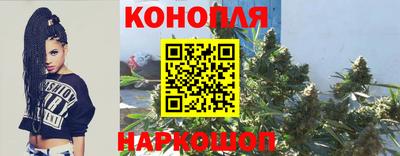 ешки Моздок