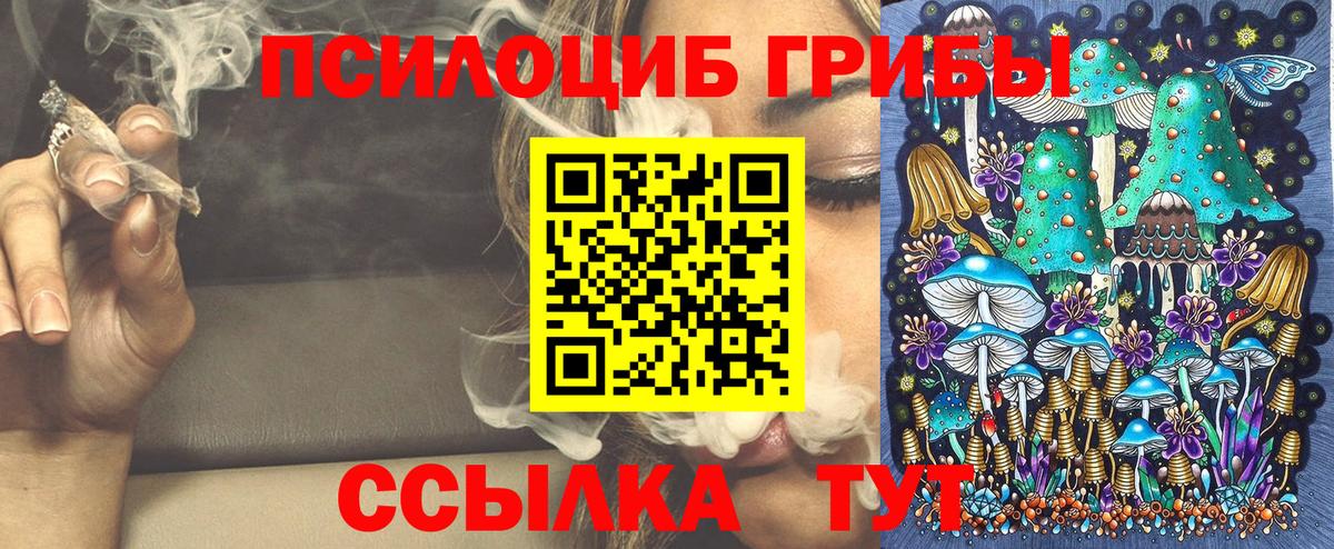 Псилоцибиновые грибы Psilocybe  хочу   Владикавказ  Вход с VPN 