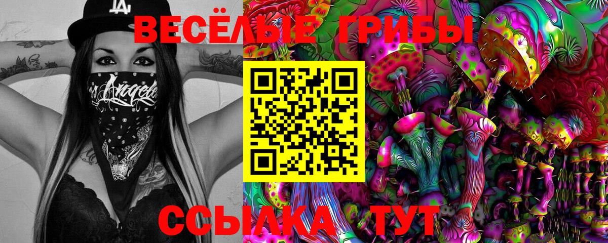 Псилоцибиновые грибы Cubensis Владикавказ